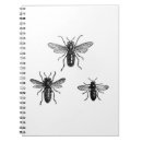 Buscar la abeja reina cuadernos Abejas