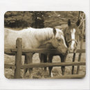 Buscar horse alfombrillas de raton Equestrian