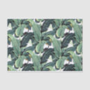 Buscar plátanos papel de seda Tropical