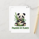 Buscar oso panda postales General y unisex
