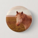 Buscar caballo chapas Salvaje