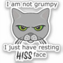 Buscar gato gris pegatinas Gala