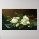 Buscar terciopelo posters Flores