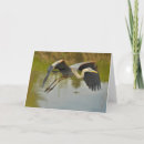 Buscar flying tarjetas Azul