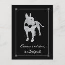 Buscar inglés bull terrier postales Perro