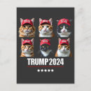 Buscar gatos postales Política