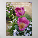 Buscar rosas hermosos posters Para niños