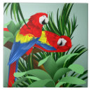 Buscar macaws azulejos Animales
