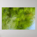 Buscar cresta posters Agua
