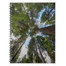 Buscar abeto cuadernos Verde