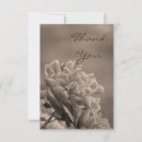 Buscar sepia tarjetas Para ella