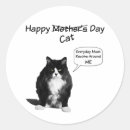 Buscar grumpy pegatinas Gatos