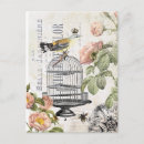 Buscar birdcage postales Floral