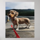 Buscar salvador posters Dachshund
