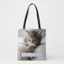 Buscar gatitos accesorios Humor