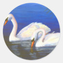Buscar cisne mudo pegatinas Aves acuáticas
