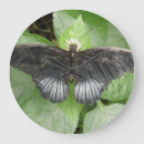 Buscar bonitos relojes de pared Animales