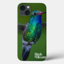 Buscar el birding electronica Foto del pájaro