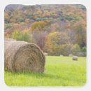 Buscar heno pegatinas 1 ᵉʳ explotación