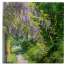 Buscar glicinias azulejos Floral