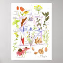 Buscar hierbas medicinales Medicina herbívica