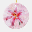 Buscar lily adornos Rosa