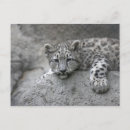 Buscar 4 meses postales 6 º estadía