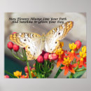 Buscar flor de pavo real posters Mariposa