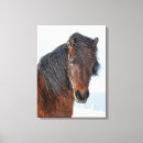 Buscar equus lienzos Superstock