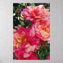 Buscar rosas arte General y unisex