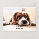 Buscar ojos tristes postales Perro