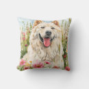 Buscar samoyedo cojines De samoyed