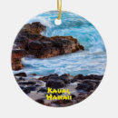 Buscar hawaii adornos Tropical