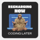 Buscar programador pegatinas Humor de codificación