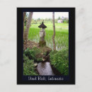 Buscar paddy postales Arroz