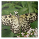 Buscar papel azulejos Mariposa