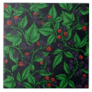 Buscar frambuesa azulejos Diseño