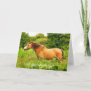 Buscar potros tarjetas General y unisex
