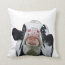 Buscar modelo de la vaca cojines Granja