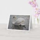 Buscar lago del cisne tarjetas General y unisex