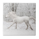 Buscar caballo blanco azulejos Campo
