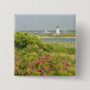 Buscar massachusetts chapas Estados unidos