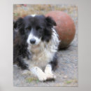 Buscar perro blanco y negro posters Para ella