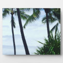 Buscar palmeras placas fotograbadas Hawaii