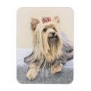 Buscar terrieres de yorkshire imanes Perro