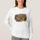 Buscar maastricht camisetas Charles