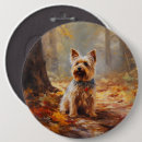 Buscar yorkshire chapas Para todos