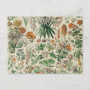 Buscar el mito de tarjetas Para ella