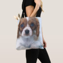 Buscar arrogante bolsos Inocencia
