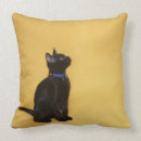 Buscar gatito negro cojines Gato